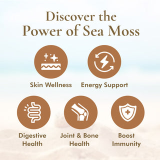 Irish Sea Moss (Whole Leaf)