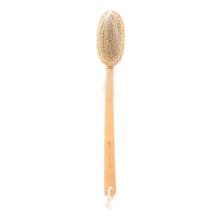 Ergo-Form Long Handle Back Brush - Earth Therapeutics