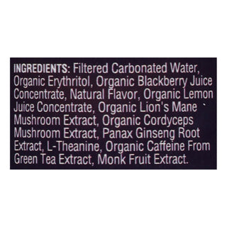 Odyssey - Sparkling Energy Blkbry Lemon - Case of 12-12 FZ