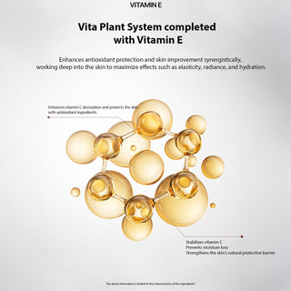 [ Vemontes ] Vemontes Orthomin C Vitaplant System | Brightening & Renewal Care