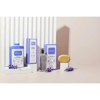 Yardley London Original English Lavender Luxury Soap 3 x 3.5 oz