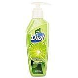 Dial Corp./Personal Care Henkel Hand Soap, 8 Oz