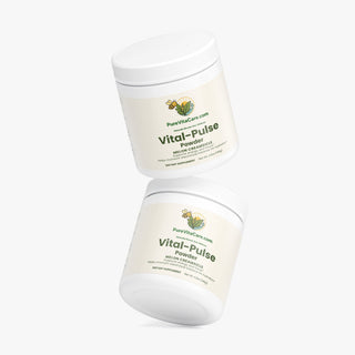 Energy Powder (Melon Creamsicle)