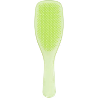 Tangle Teezer Plant Brush For Fine & Fragile Hair In Cool Matcha – Ultimate Detangler