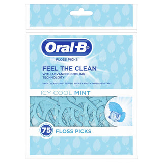 Oral B Complete Dental Floss Picks, Icy Cool Mint