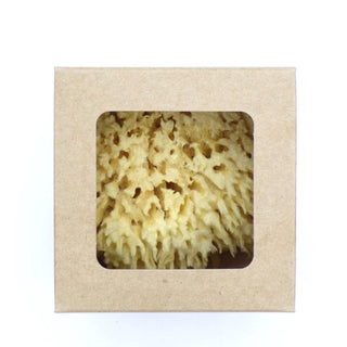Baudelaire Wool Bath Sponges In Various Sizes