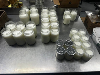 Unscented Beef Tallow - 8 Pounds | 100% Natural & Pure