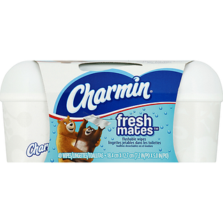 Charmin Freshmates Flushable Wipes 40 Count Tub