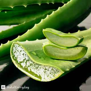 Aloe Vera Butter