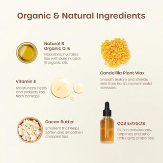 ILIKA 100% Natural Lip Balm - Organic, Plastic-free, Vegan, Cruelty-Free, Vitamin E, COSMOS Certified, PETA Certified, 2-Pack All-Day Moisture, 0.15 oz each