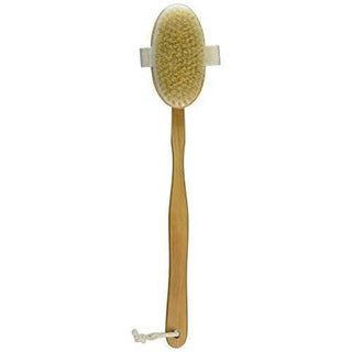 Touch Me ) Dry Skin Bath Brush-100% Pure Boar Bristle With Detachable Long Handle Bath Back Brush, Gift Ribbon Packaging. Size: 3 X 16.5 Long Handle