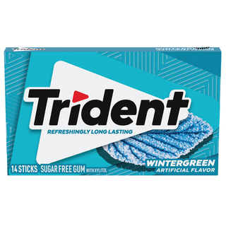 Trident Wintergreen Gum Sugar Free Gum, 14 Piece Pack