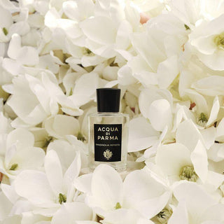 Acqua Di Parma Signatures Magnolia Infinita Edp 100 Ml
