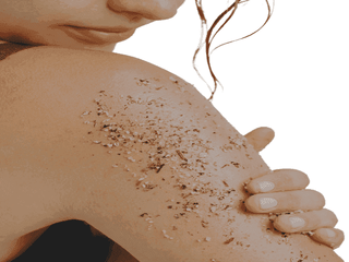 Exfoliating Organic Body Scrub Vanilla Musk Fragrance