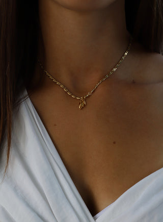 DX - CAROLINE CHAIN