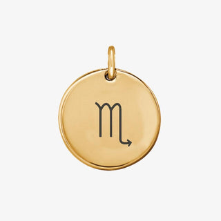 Zodiac Sign Charm