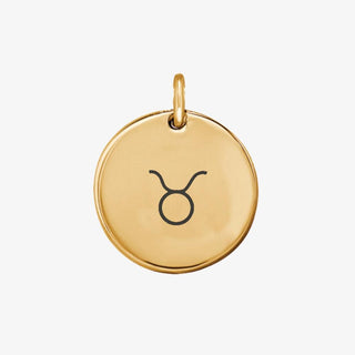 Zodiac Sign Charm