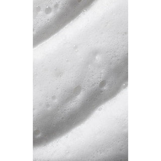 Aveda Nutri-Plenish Styling Treatment Foam, 6.7 fl oz