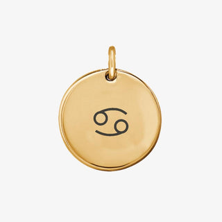 Zodiac Sign Charm