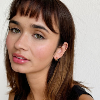 Double Hoop Earrings