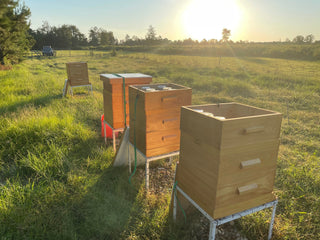 All Natural Raw Unfiltered Honey - 12oz