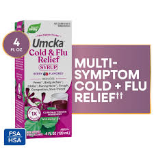 Nature's Way Cold + Flu Relief Syrup - Berry Flavored 4 Fl Oz