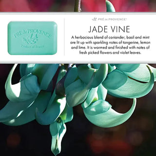 Pre De Provence jade vine Shea Enriched Vegetable Soap 250g
