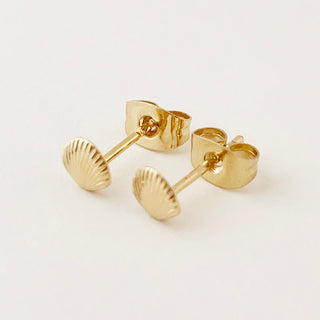 Mini Shell Studs